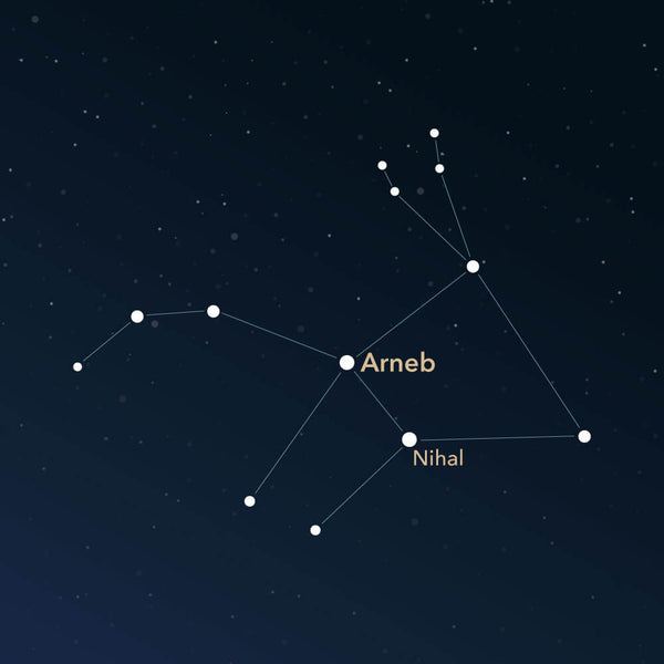 The constellation Lepus